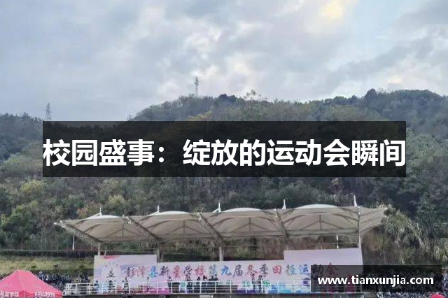 校园盛事：绽放的运动会瞬间