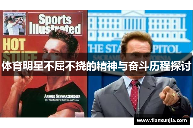 体育明星不屈不挠的精神与奋斗历程探讨