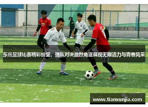 东岳足球比赛精彩纷呈，强队对决激烈角逐展现无限活力与青春风采